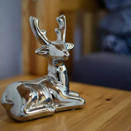 Haus Rheinsheimer Scheuer Pensión *